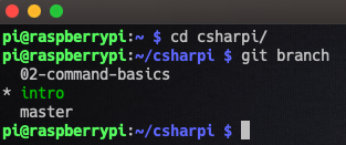  You can see here we are in the intro branch, and we need to switch it up! 